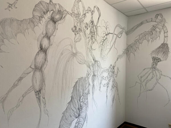 Julia Baur (D) hat aufw&auml;ndige, raumgreifende Wandzeichnungen f&uuml;r das Museum Schloss Fellenberg realisiert. Hier spiegeln sich die Auseinandersetzung mit Verg&auml;nglichkeit und Verlust in einem lebhaften Geflecht aus d&uuml;rren, vertrockneten Pflanzen, die zugleich eine starke Pr&auml;senz entwickeln.