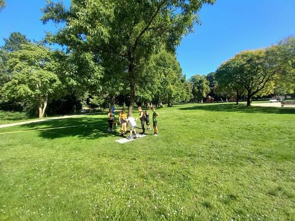 Activity-Day