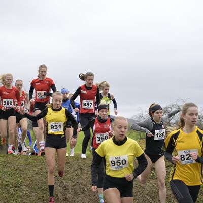 Deutsche Meisterschaften im Crosslauf in Perl