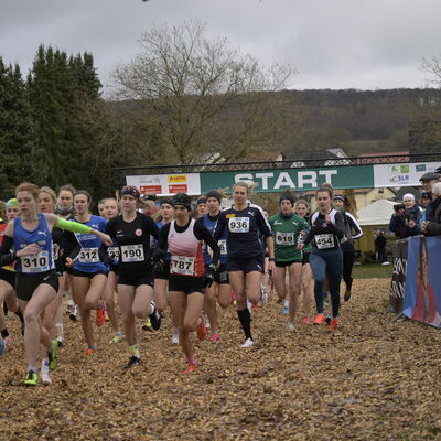 Deutsche Meisterschaften im Crosslauf in Perl