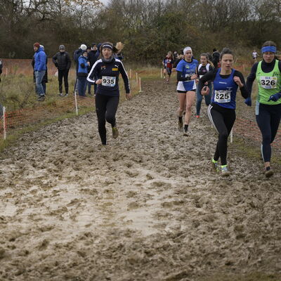 Deutsche Meisterschaften im Crosslauf in Perl