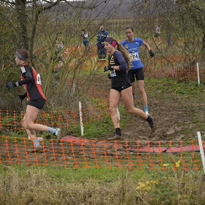 Deutsche Meisterschaften im Crosslauf in Perl
