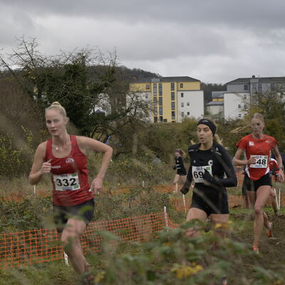 Deutsche Meisterschaften im Crosslauf in Perl