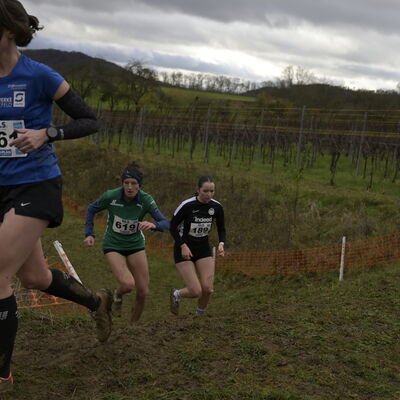 Deutsche Meisterschaften im Crosslauf in Perl