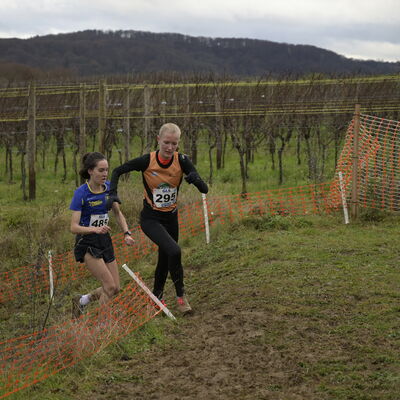 Deutsche Meisterschaften im Crosslauf in Perl