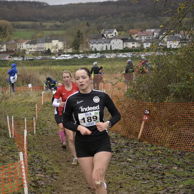 Deutsche Meisterschaften im Crosslauf in Perl