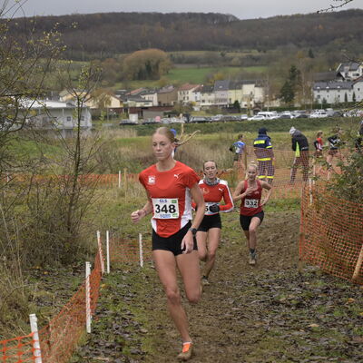 Deutsche Meisterschaften im Crosslauf in Perl