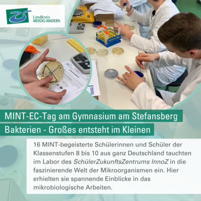 Erfolgreicher MINT-EC-Tag am Gymnasium am Stefansberg: &raquo;Bakterien - Gro&szlig;es entsteht im Kleinen&laquo;
