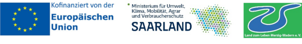 Sommerferienbus F&ouml;rderleiste