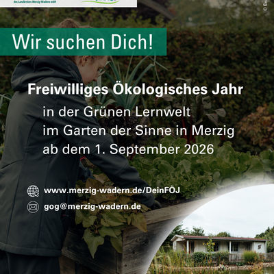 Freiwilliges &Ouml;kologisches Jahr