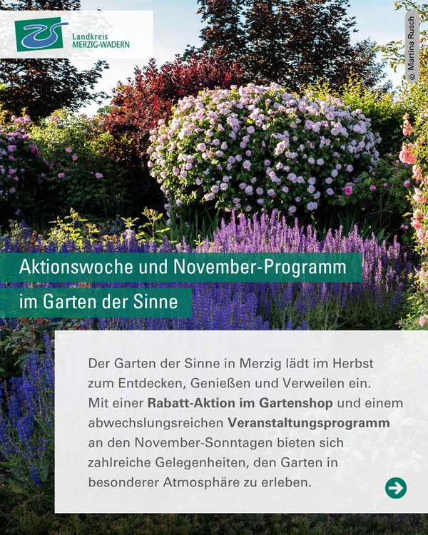 Garten der Sinne im November