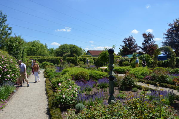 Der Rosengarten zog einige Besucher an.
