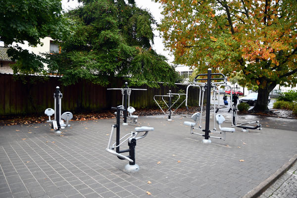 Diese Fitness-Ger&auml;te f&uuml;r den Au&szlig;enbereich k&ouml;nnen Sch&uuml;ler der Peter-Dewes-Gemeinschaftsschule zuk&uuml;nftig nutzen.
