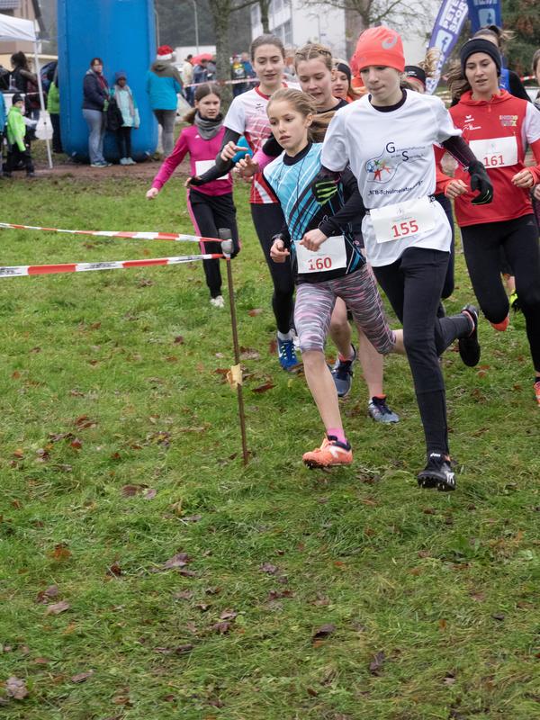 Nikolauslauf2