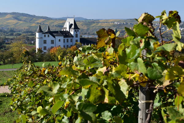 Schloss Berg_Nennig mit Weinberg_Gemeindeverwaltung Perl