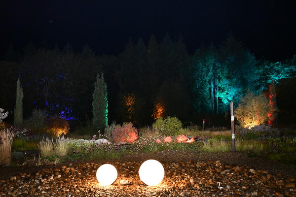 Der Garten der Sinne zeigte sich stimmungsvoll beleuchtet.