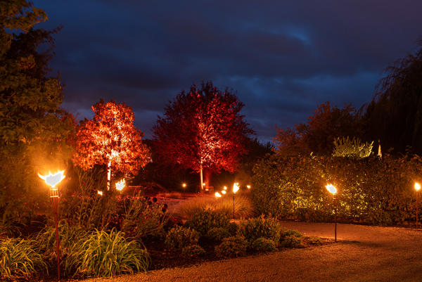 Herbstleuchten - Garten im Licht