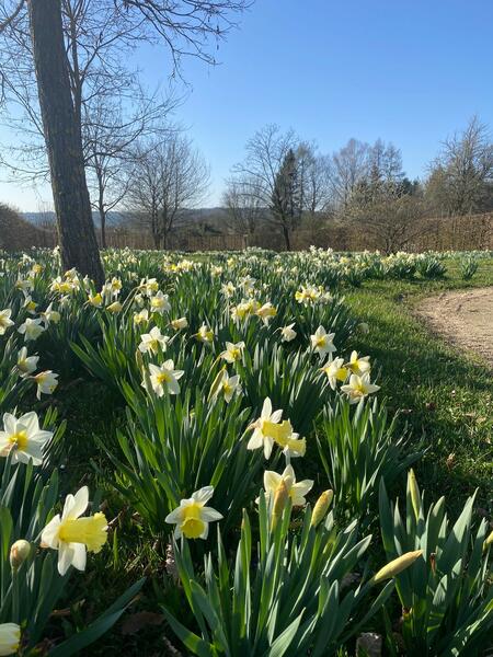 Fr&uuml;hling im Garten der Sinne