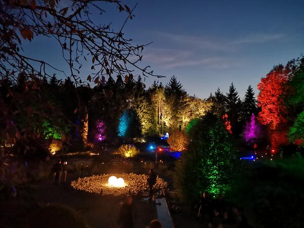 Der illuminierte Garten der Sinne