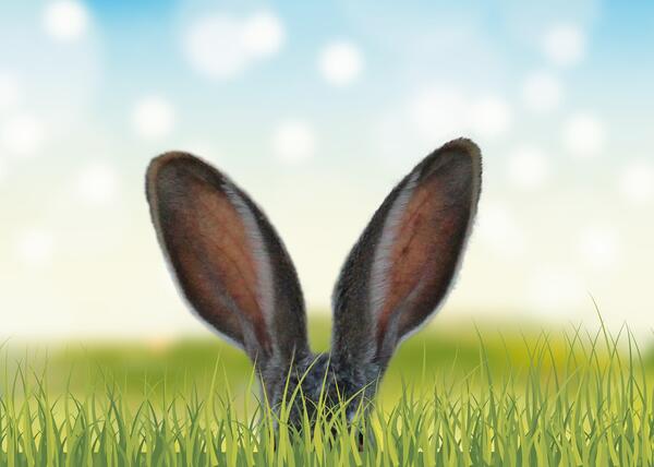 Osterhase