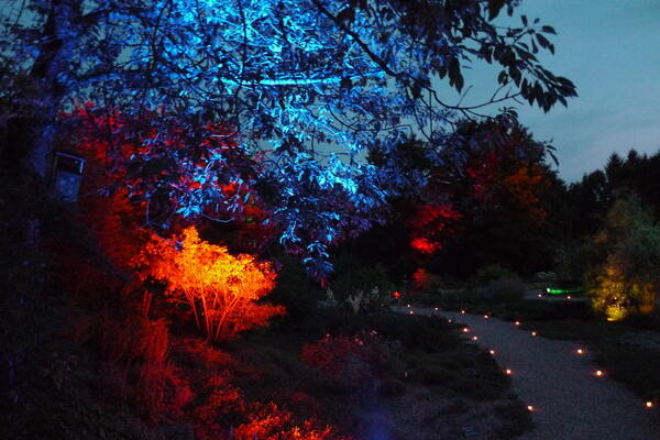 Der Garten der Sinne wurde am 6. und 7. Mai stimmungsvoll beleuchtet.