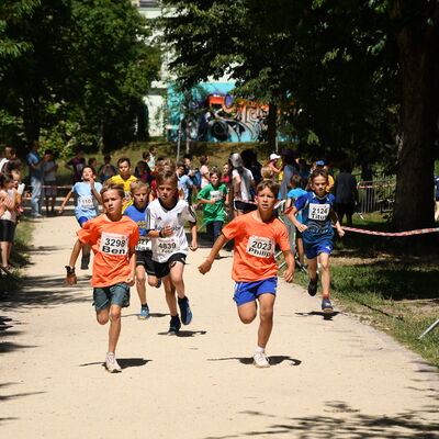 22. Saarl&auml;ndische Schullaufmeisterschaften 