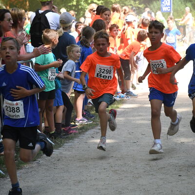 22. Saarl&auml;ndische Schullaufmeisterschaften 