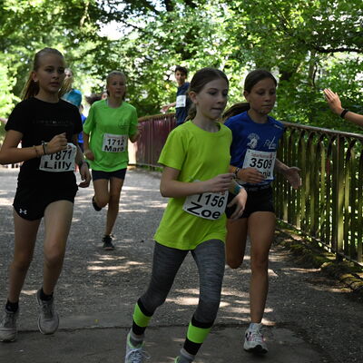 22. Saarl&auml;ndische Schullaufmeisterschaften 
