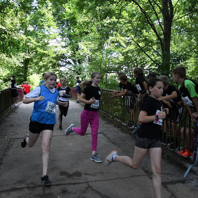 22. Saarl&auml;ndische Schullaufmeisterschaften 
