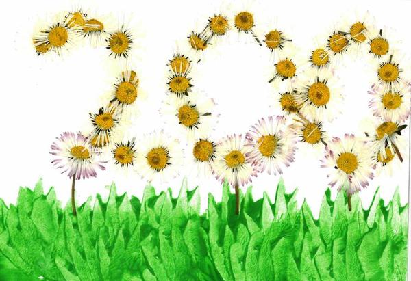 Gl&uuml;ckwunschkarten Daisy