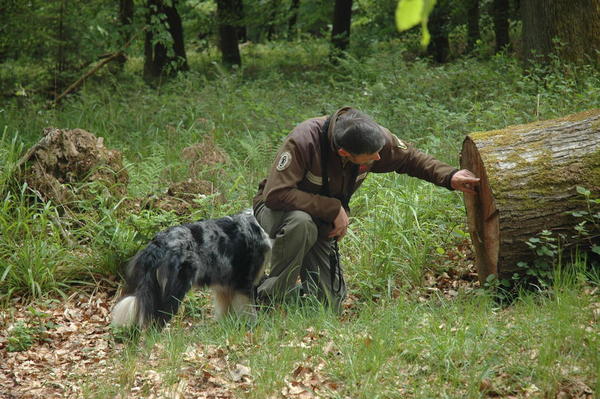  Ranger Frank Gr&uuml;tz
