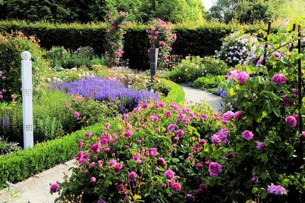 Rosengarten im Garten der Sinne