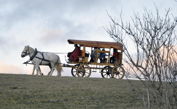 Der r&ouml;mische Reisewagen, eine originale Rekonstruktion, mit imposanten Zugpferden
