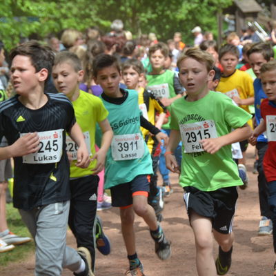 Schullaufmeisterschaften 2017_L&auml;ufergruppe