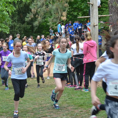 Die Schullaufmeisterschaften 2018 starten am Freitag, 27. April, rund um die Stadthalle Merzig
