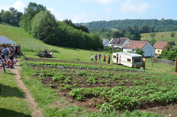 Schulgarten Brotdorf_Beete