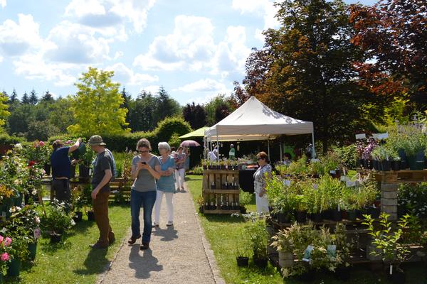 Gartenliebhaber fanden beim Rosentag ein vielf&auml;ltiges Angebot an Rosen und Stauden